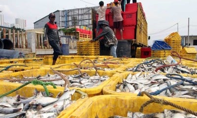 PERMINTAAN PRODUKSI PERIKANAN TINGGI