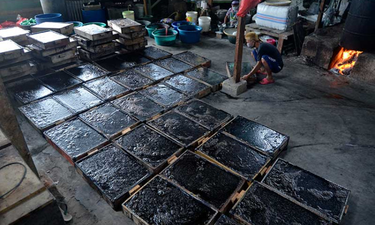 PEMBUATAN CINCAU HITAM
