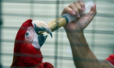 TAMAN BURUNG TMII BUTUH DONASI