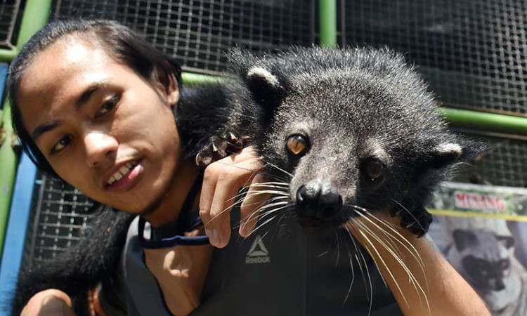 KEBUN BINATANG KESULITAN BIAYA OPERASIONAL