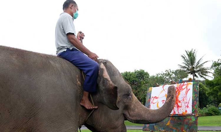 GAJAH BELAJAR MELUKIS