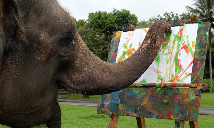 GAJAH BELAJAR MELUKIS