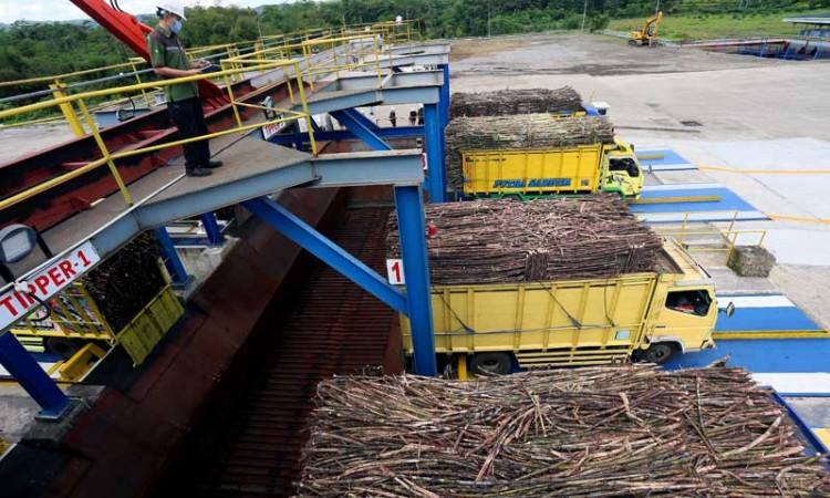 UPAYA PEMENUHAN PRODUKSI GULA NASIONAL