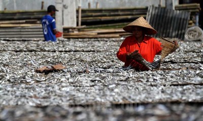 Produksi Ikan Asin di Muara Angke Mencapai 6 ton per Hari