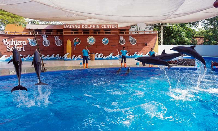 Simulasi Pembukaan Batang Dolphins Center