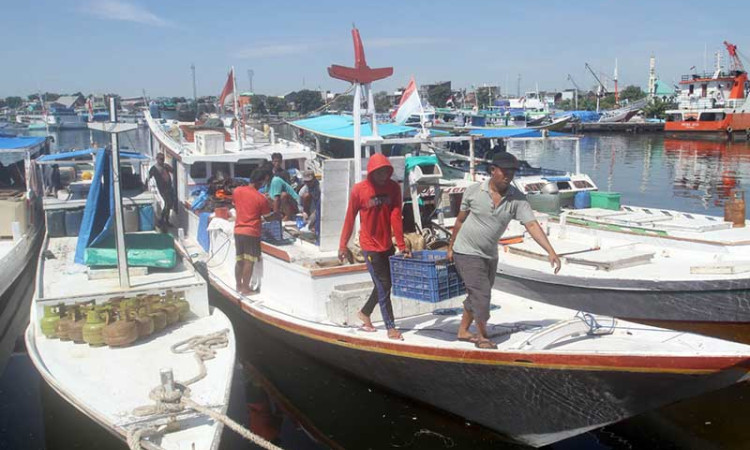 Permintaan Ekspor Ikan Menurun, Gudang Penyimpanan Ikan di Makassar Penuh