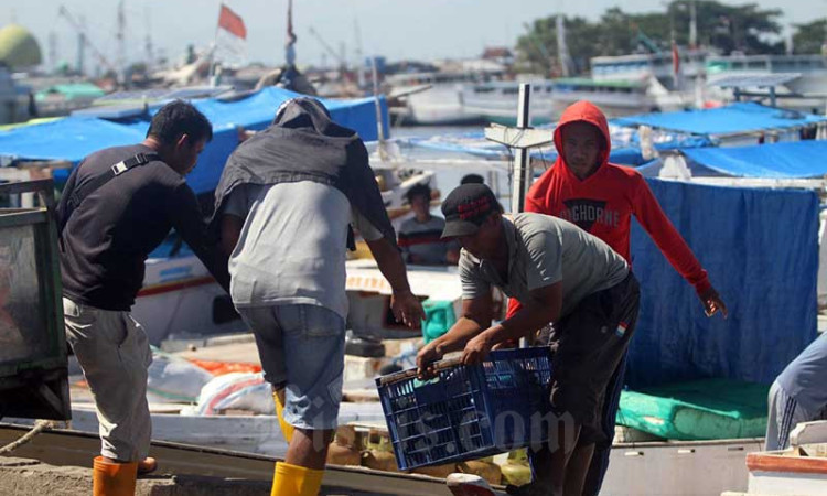 Permintaan Ekspor Ikan Menurun, Gudang Penyimpanan Ikan di Makassar Penuh