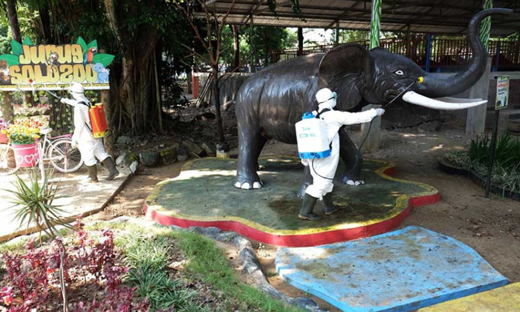 Solo Zoo Akan Dibuka Kembali pada Jumat 19 Juni