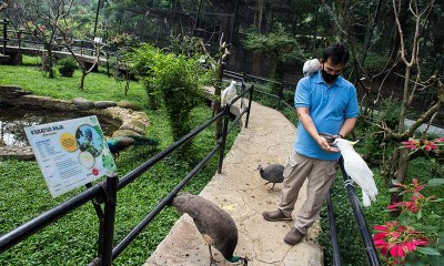 Kebun Binatang Bandung Kembali Dibuka Untuk Umum