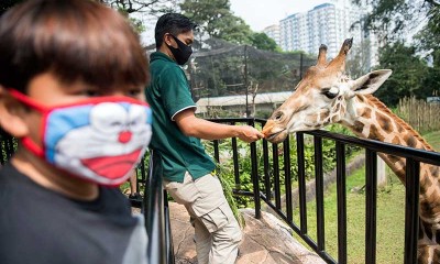 Kebun Binatang Bandung Kembali Dibuka Untuk Umum