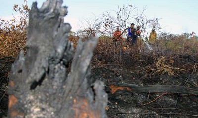 353 Hektare Lahan di Aceh Terbakar