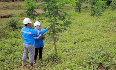 PT ABM Investama Tbk. Kembalikan Fungsi Lahan Sebesar 78,5 ha di Aceh