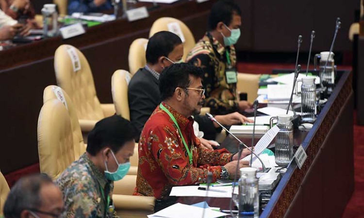 Mentan Syahrul Yasin Limpo Bahas Percepatan Pemulihan Ekonomi saat Raker Bersama DPR