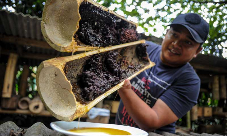Produsen Madu di Lembang Jawa Barat Tembus Pasar Internasional