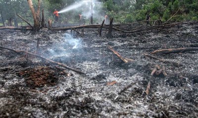 Kebakaran Lahan di Pekanbaru, Polisi Amankan Dua Pelaku Pembakar Lahan