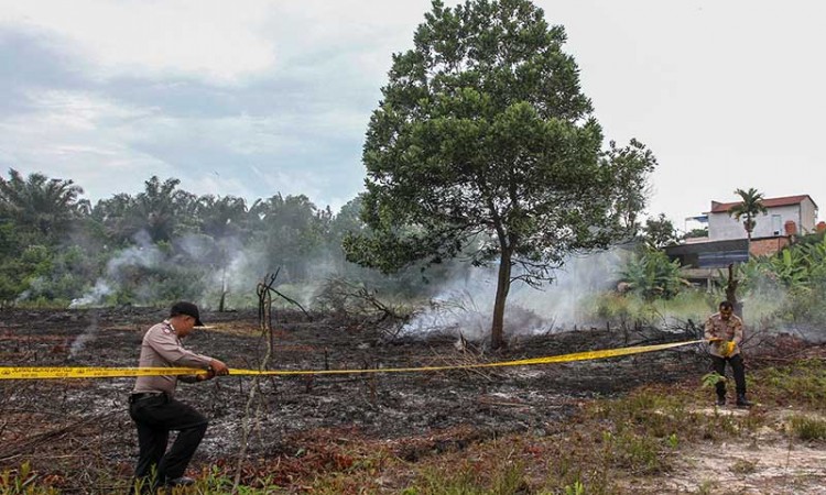 Kebakaran Lahan di Pekanbaru, Polisi Amankan Dua Pelaku Pembakar Lahan