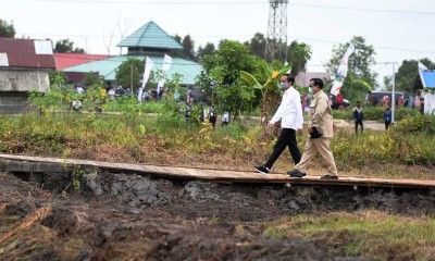 Presiden Joko Widodo Tinjau Lahan Untuk Lumbung Pangan di Kalimatan Tengah