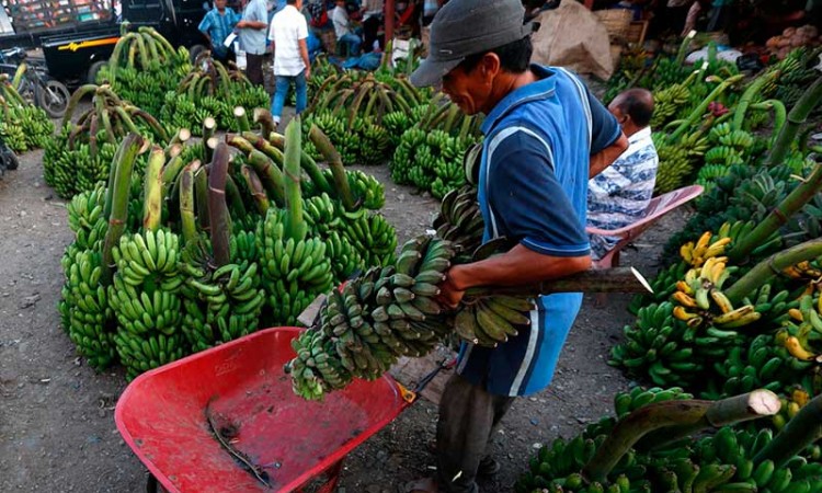 Pemerintah Berikan Modal Kerja Senilai Rp2,4 Juta Kepada 12 Juta Pedagang Kecil