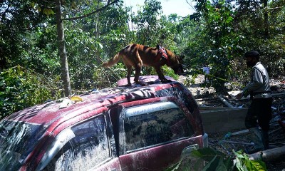 Polisi Kerahkan Anjing Pelacak Untuk Mencari Korban Banjir Bandang Luwu Utara