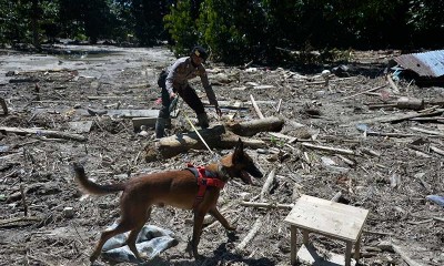 Polisi Kerahkan Anjing Pelacak Untuk Mencari Korban Banjir Bandang Luwu Utara