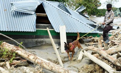 18 Korban Banjir Bandang Luwu Utara Belum Ditemukan, Tim SAR Terus Lakukan Pencarian