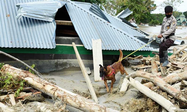 18 Korban Banjir Bandang Luwu Utara Belum Ditemukan, Tim SAR Terus Lakukan Pencarian
