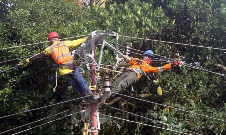 PLN Klaim Sudah Pulihkan Listrik di Kabupaten Luwu Utara Pasca Banjir Bandang