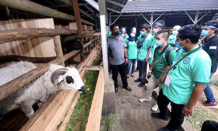 Kementerian Ketenagakerjaan Mendorong Munculnya Wirausahawan Barua