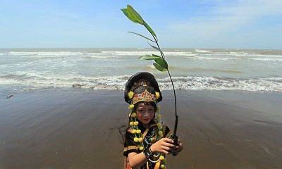 Peringati Hari Mangrove Internasional, Sejumlah Anak Menanam Mangrove di Pantai Indramayu