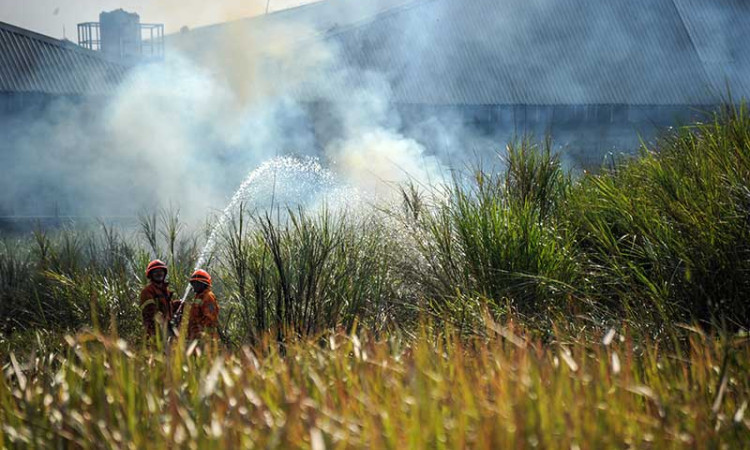 Kebakaran Lahan di Jawa Barat Disebabkan Cuaca Panas Dari Musim Kemarau