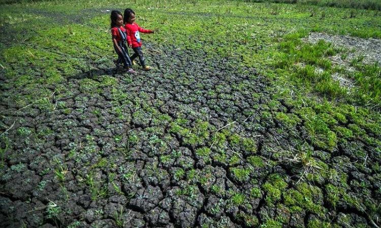 BMKG Peringatkan Potensi Kekeringan Meteorologis di Sejumlah Wilayah Indonesia