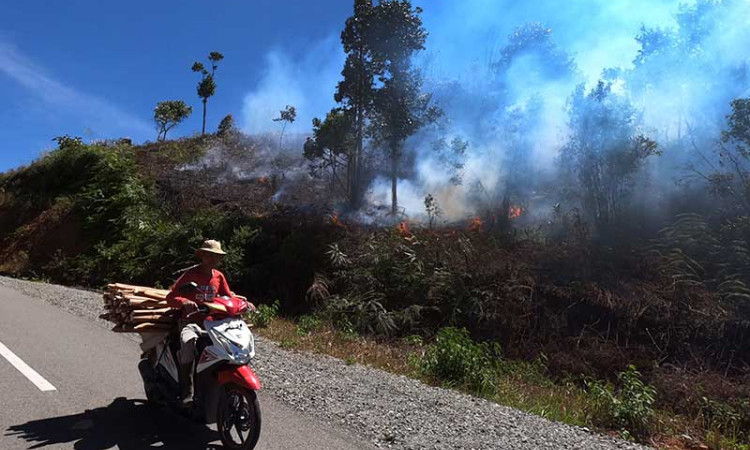 258 Desa di Jambi Berstatus Daerah Rawan Kebakaran Hutan dan Lahan