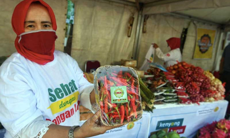 Kementan Gelar Gerakan Diversifikasi Dan Ekspose UMKM Pangan Lokal