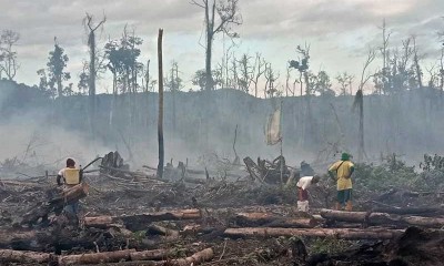 Kebakaran Hutan dan Lahan Gambut di Sulawesi Tenggara Dikarenakan Cuaca Panas