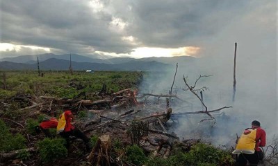 Kebakaran Hutan dan Lahan Gambut di Sulawesi Tenggara Dikarenakan Cuaca Panas