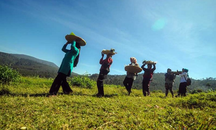 Tradisi Hajat Bumi Kembali Digelar di Tengah Pandemi