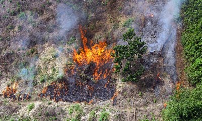 BPBD Kalimantan Selatan Mencatat Hingga September 2020 Kebakaran Hutan dan Lahan Seluas 103,12 Hektare