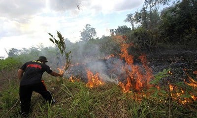 Kebakaran Hutan Dan lahan di Kalimantan Selatan Mulai Marak Terjadi 