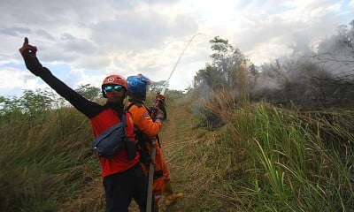 Kebakaran Hutan Dan lahan di Kalimantan Selatan Mulai Marak Terjadi 