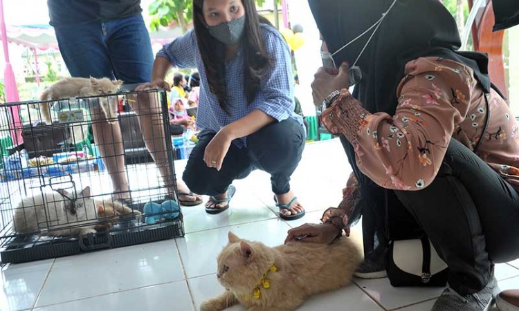 Peringati Hari Rabies Sedunia, Pemkot Palembang Gelar Penyuntikan Vaksin Rabies Gratis