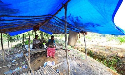 Puluhan Orang Rimba di Jambi Tinggal di Ladang Karena Khawatir Terhadap Covid-19