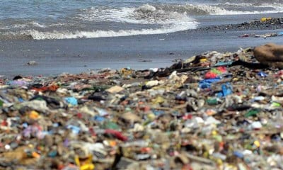 Pemkot Padang Kualahan Atasi Penumpukan Sampah di du Pantai