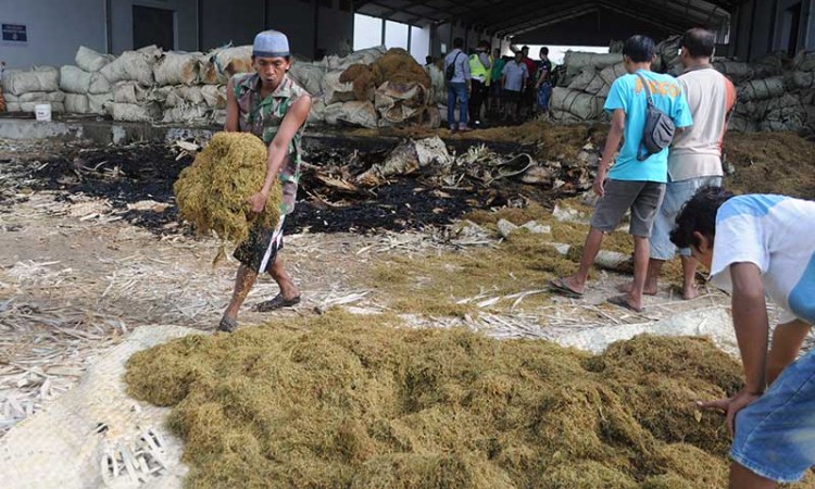 Kebakaran Gudang Tembakau di Jawa Timur Disebabkan Putung Rokok