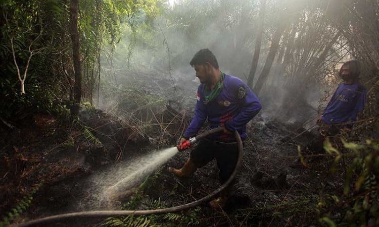 Petugas Gabungan Berhasil Padamkan Karhutla Seluas 1,5 Hektare di Kalimantan