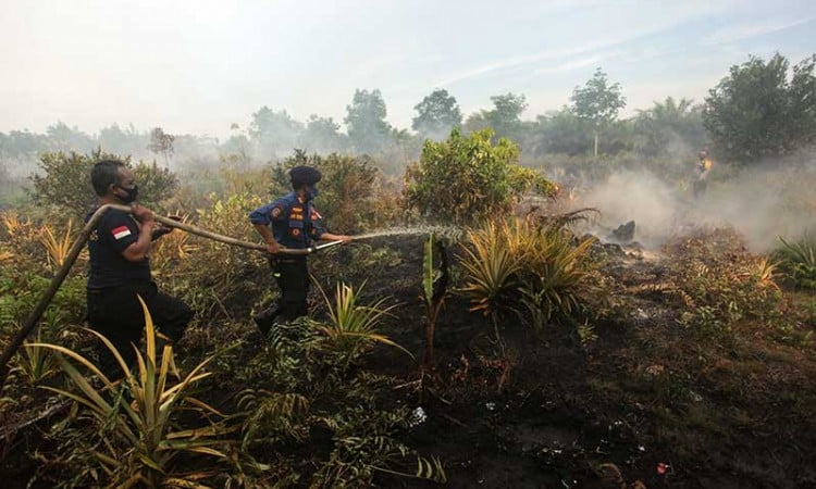 Petugas Gabungan Berhasil Padamkan Karhutla Seluas 1,5 Hektare di Kalimantan