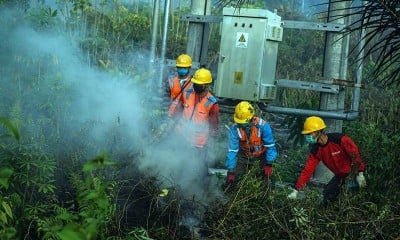 Petugas Gabungan Berhasil Padamkan Karhutla Seluas 1,5 Hektare di Kalimantan