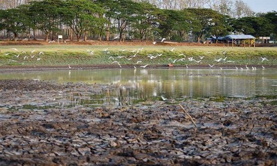 Waduk Saradan di Jawa Timur Mulai Alamai Kekeringan