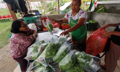 Permintaan Sayur Organik Meningkat di Tengah Pandemi Covid-19