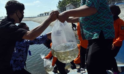 Pemprov Jatim Berikan Bantuan 130 Ribu Benih ikan Untuk Tingkatkan Konsumi Ikan Masyarakat