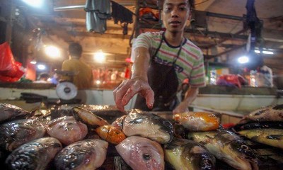 KKP Targetkan Tingkat Konsumsi Ikan mencapai 62 Kilogram Per Kapita Pada 2024